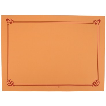 2200 NAPRON HARTIE CHN 310X430 ORANGE /500 4/BX