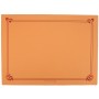 2200 NAPRON HARTIE CHN 310X430 ORANGE /500 4/BX