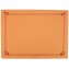 2200 NAPRON HARTIE CHN 310X430 ORANGE /500 4/BX